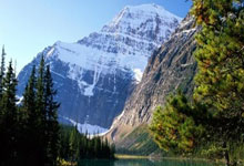 开云平台-广州恒大：主场之战的不可战胜