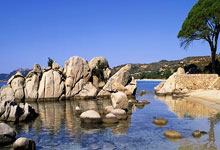 开云体育APP下载-黄金战场：三足鼎立下的千亿角逐