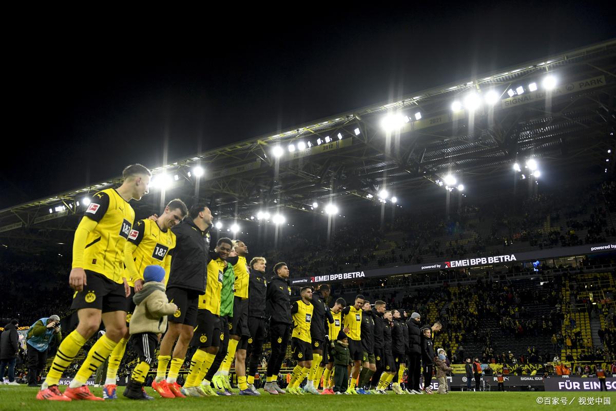 博洛尼亚客场不敌对手，积分下滑的简单介绍