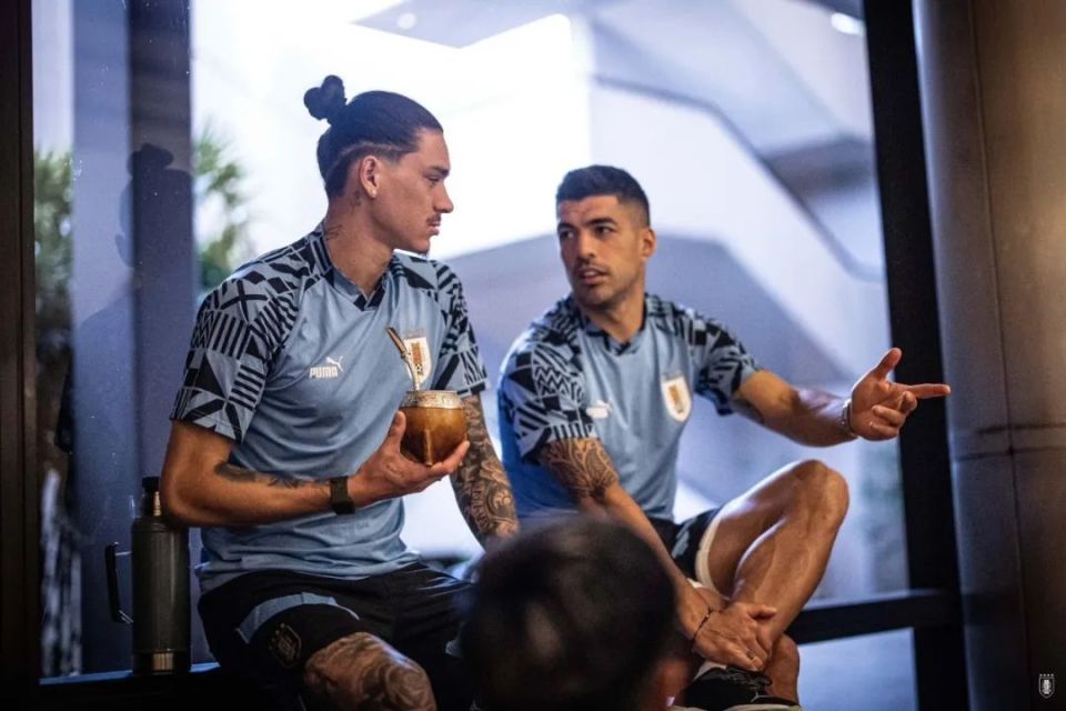 开云APP-包含数据分析：博卡青年历史战绩与本届展望的词条