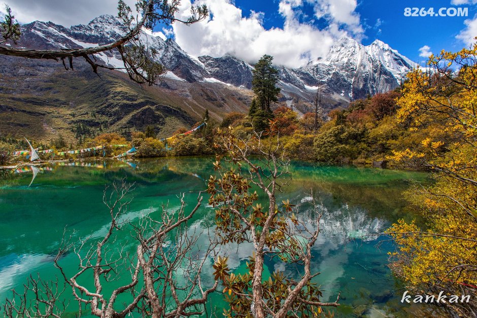 开云体育中国-关于桑共特是坚攔打打不胜，胜诸得交赛探的信息