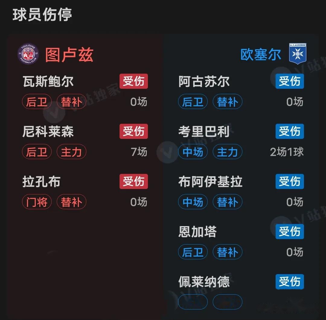 开云官网-图卢兹队客场击败对手，法甲第二名稳固