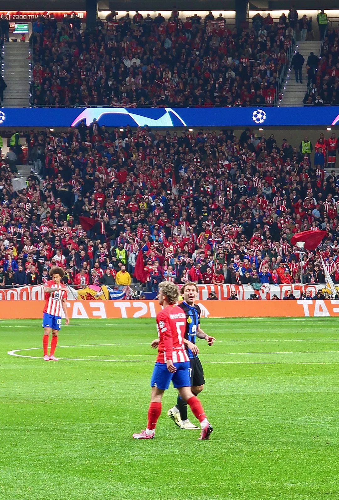 开云体育登录-捷克队在欧预赛中高分击败对手