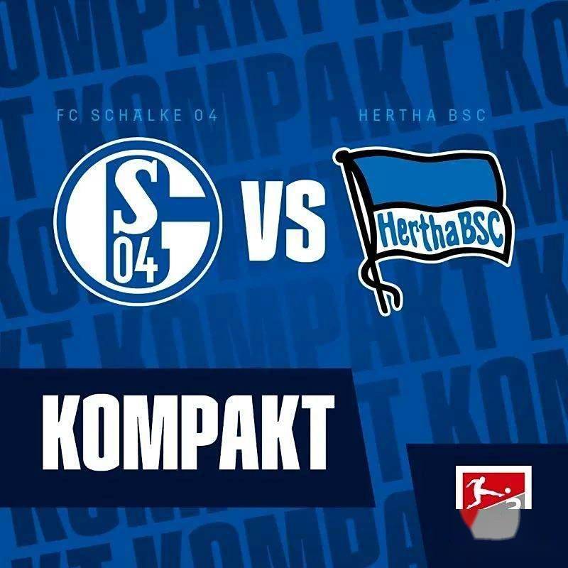 沙尔克04不敌对手,积分榜上失地 沙尔克04不敌对手,积分榜上失地