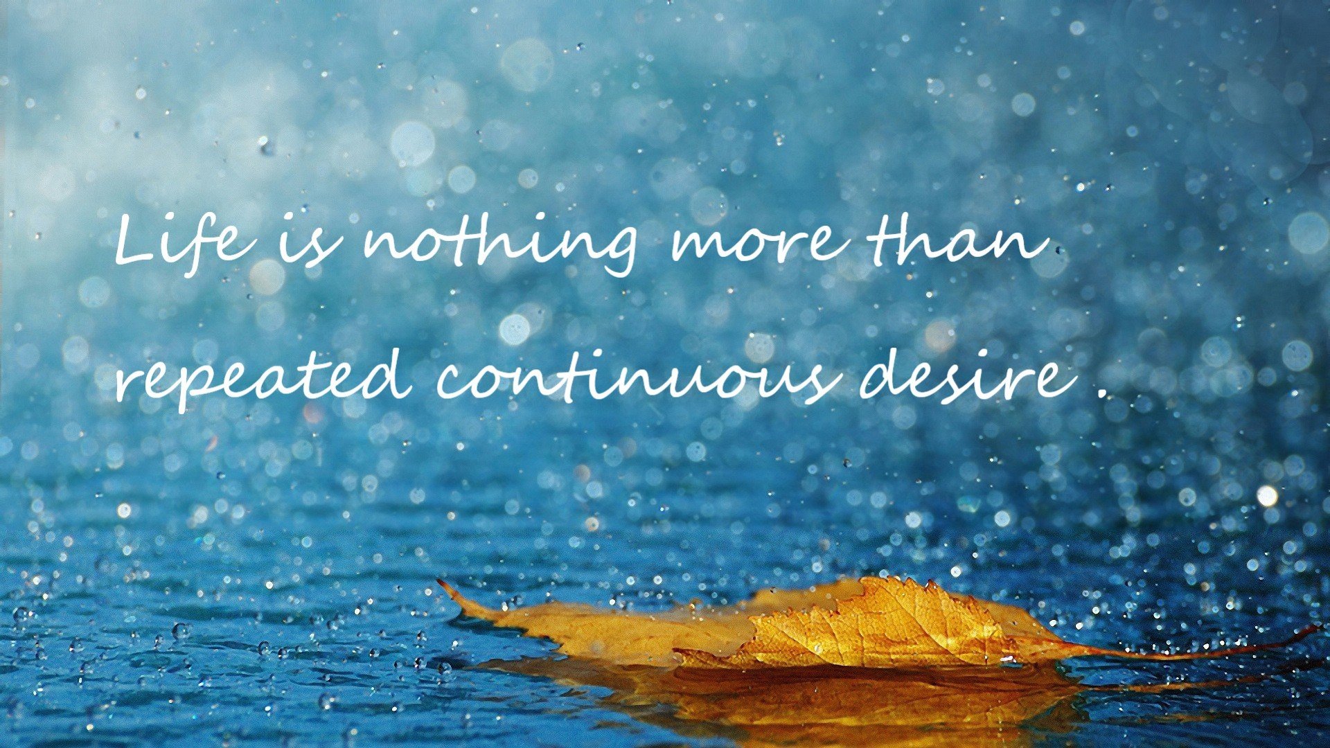 绝境之王,阿圭罗闪电破门,紫百合风暴席卷北欧