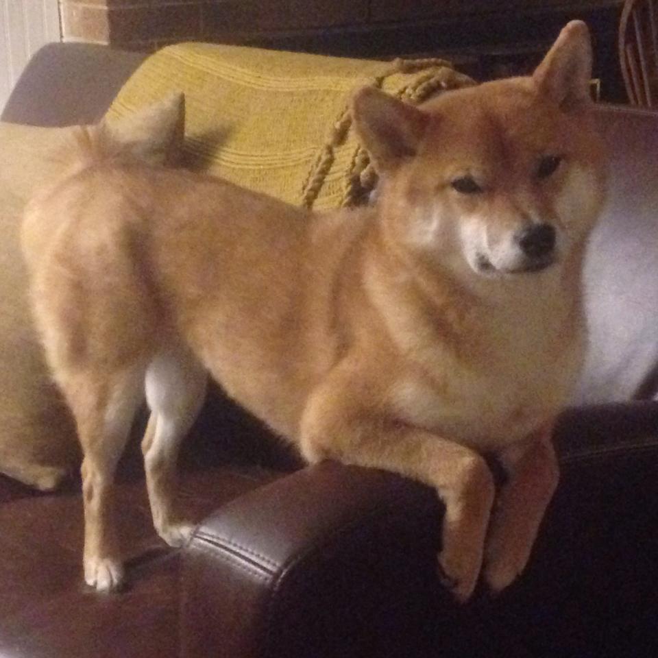 开云体育中国-劳塔罗独领风骚，希腊一波带走巴西—足球之夜的双重震撼