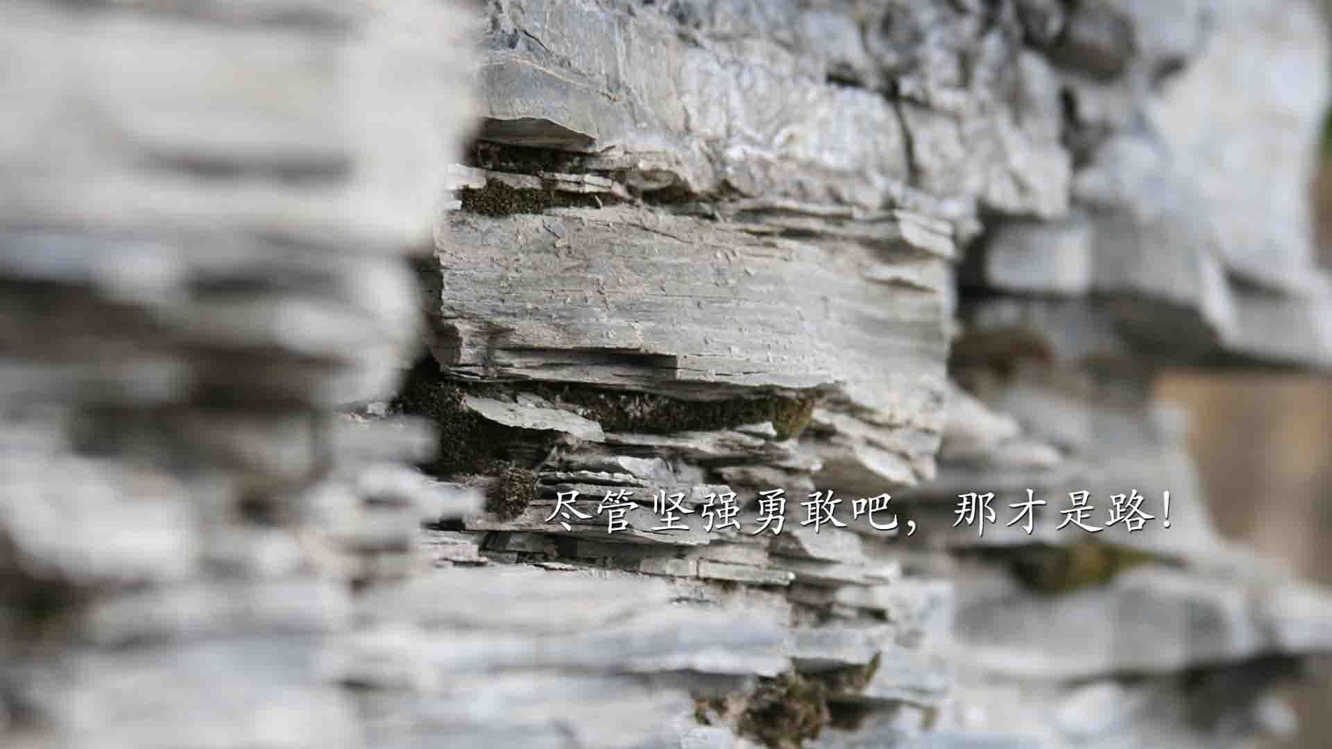 开云APP-辽篮风暴席卷北美，辽宁队轻取雄鹿，保罗进攻端无人可挡