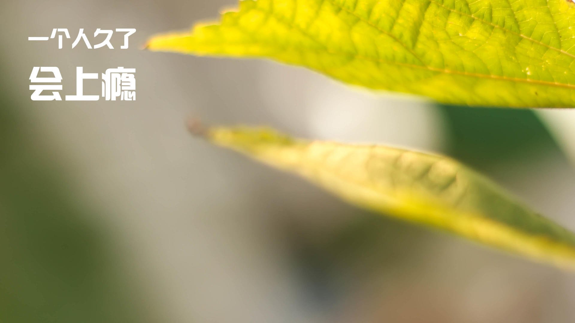 开云体育官方网站-打破宿命，个体超越与系统重构，通往新秩序的双重革命