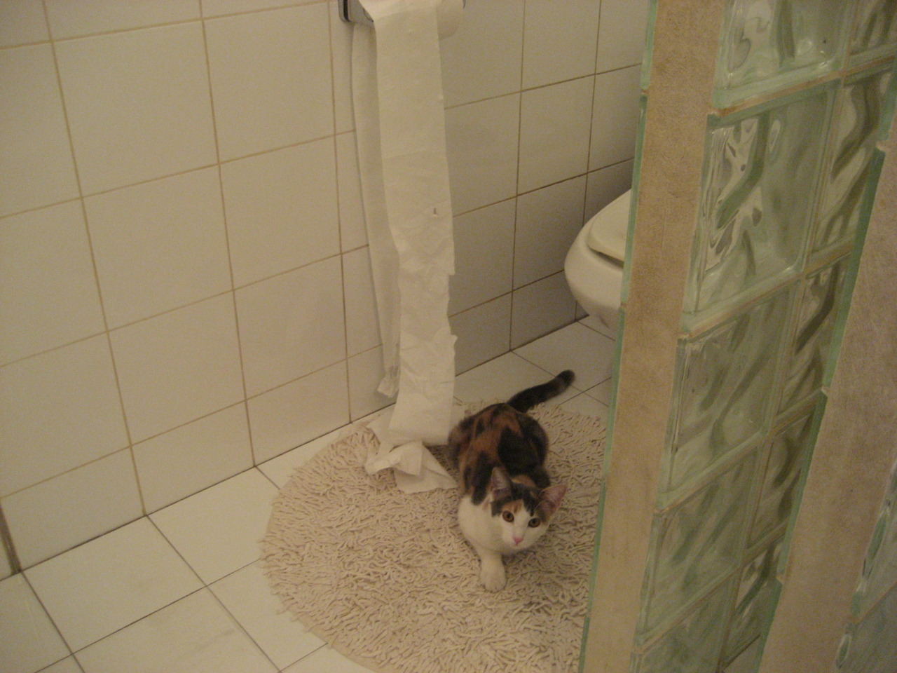 开云平台-末节狂潮+绝地翻盘！班凯罗接管比赛率篮网险胜尼克斯