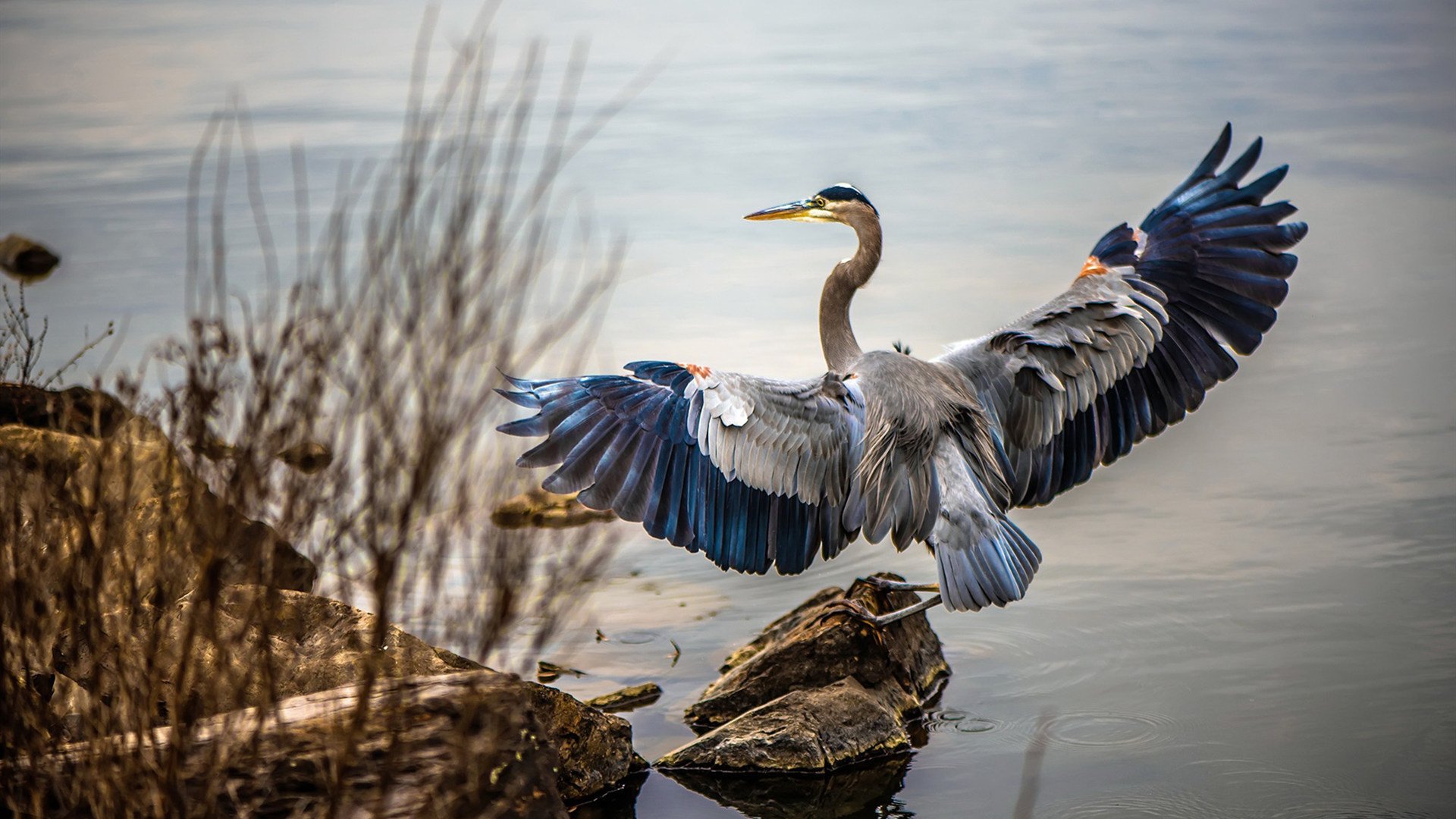 开云体育登录-篮坛双星记，绿军铁血收尾显智慧，库里三分暴雨定乾坤