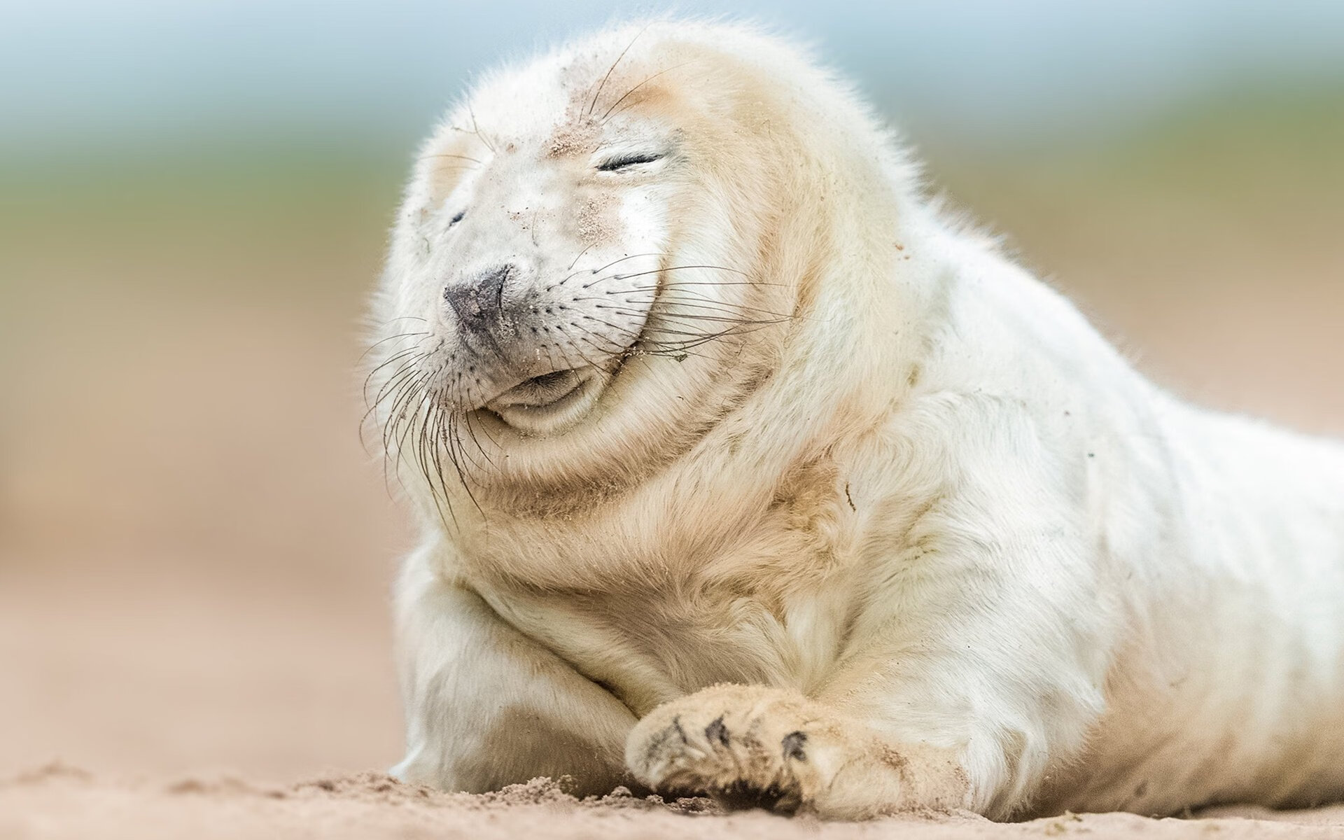 北欧冰刀撕裂铁血防线，芬兰加时险胜波兰，谱写欧陆篮球新篇章