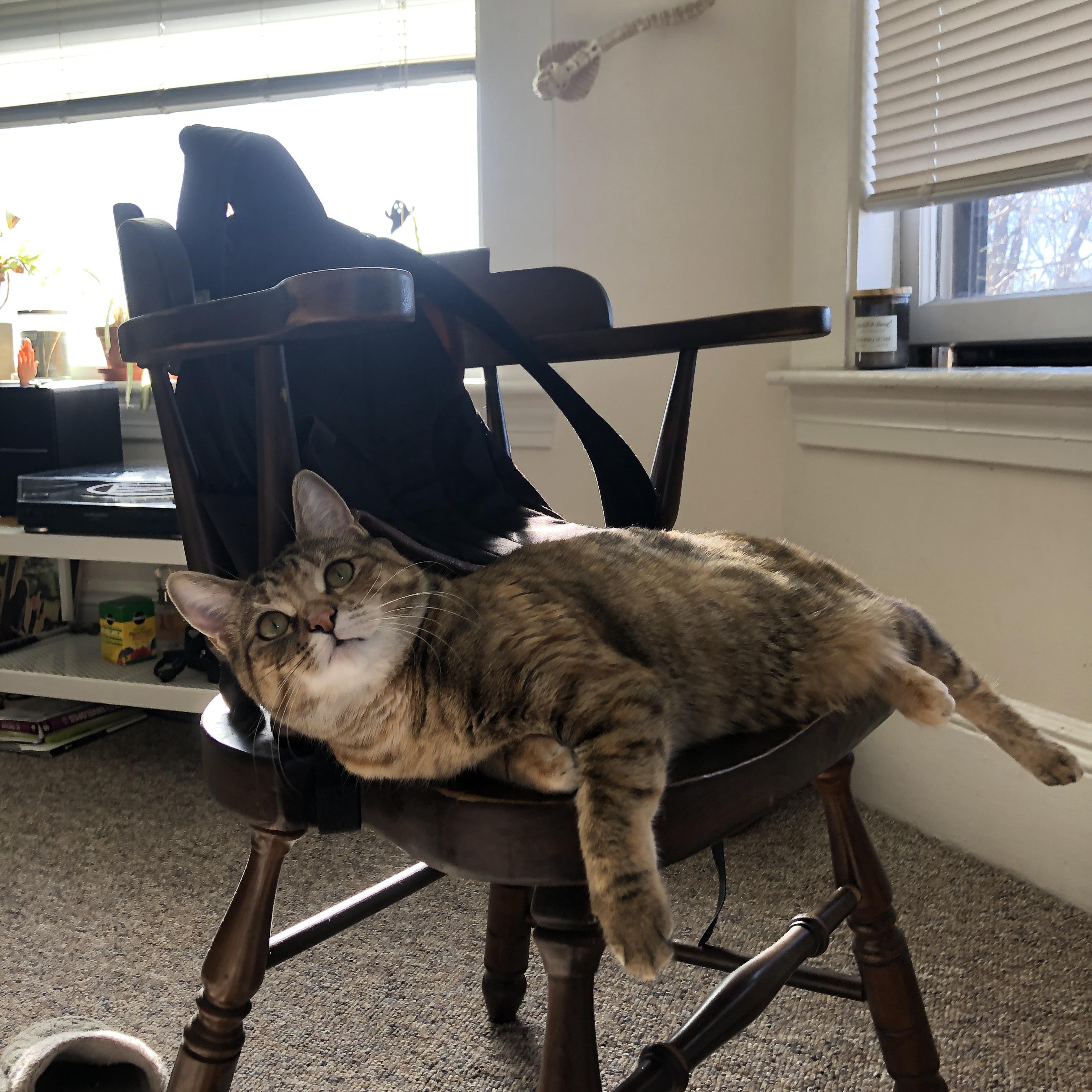 皮克全程高能输出，巴拉圭化身铁血战车正面击溃西班牙