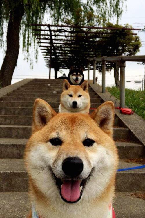 开云体育官网-大幕升起时，逆流而上者，伦纳德定律与上海队的惊天翻盘