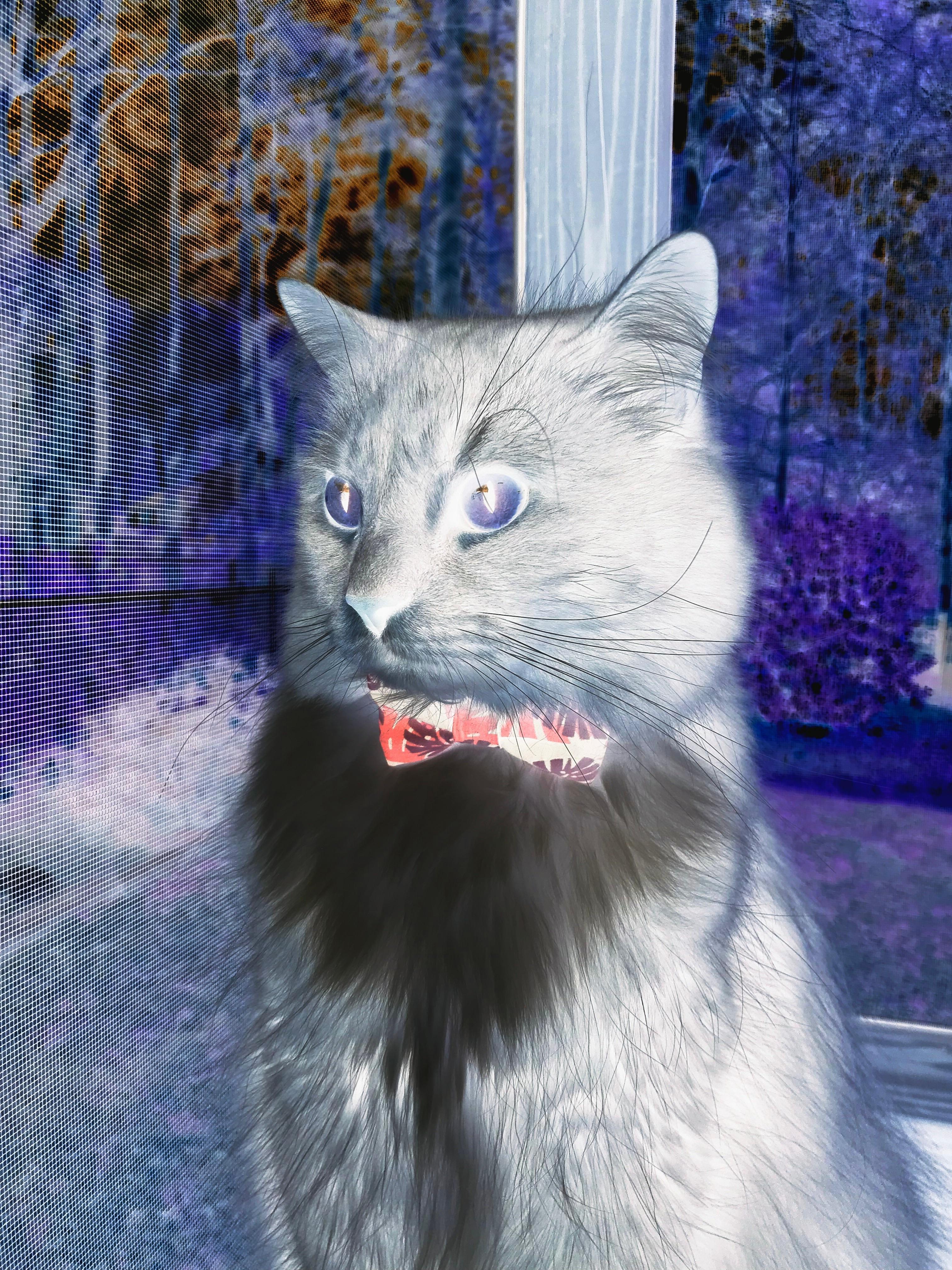 轻舟已过万重山，比利亚雷亚尔技术流碾压，世界排名争夺战再起波澜