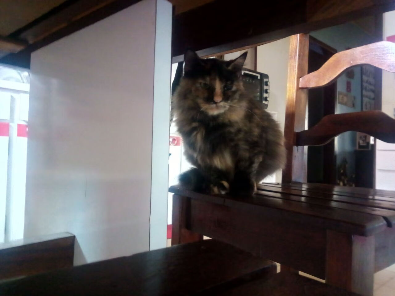 开云体育官网-马克西狂飙40+山西血战加时破新疆，客场爆冷取胜