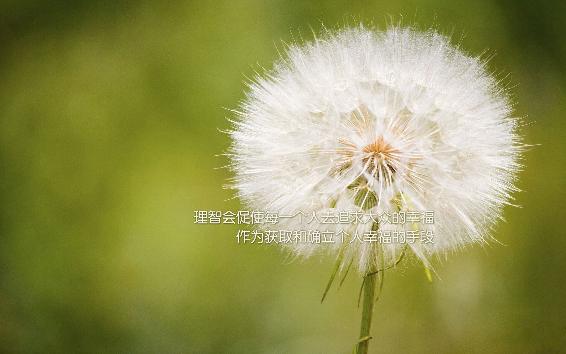 深圳队爆冷击败湖人，抢七大战创历史—跨联赛焦点战引爆全球篮球热潮