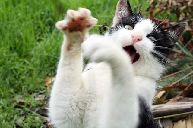 节奏之争，卡塞米罗的无声指挥与巴萨的北欧风暴