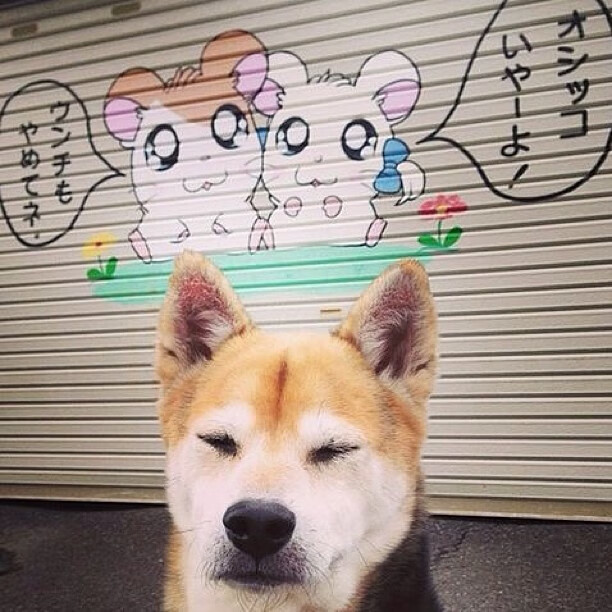 开云体育在线-里昂惊天逆转那不勒斯，若日尼奥攻防转换铸就核心传奇