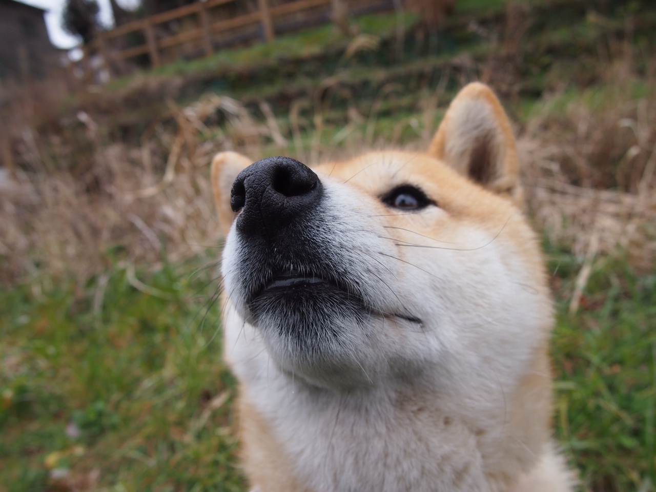 绿茵与硬木的共鸣，西甲国家德比焦点战与雄鹿险胜公牛共绘体育史诗
